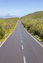 Road on Paul da Serra plateau in Madeira