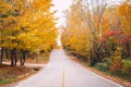 Empty road street in colorful autumn forest park Royalty Free Stock Photo