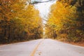 Empty road street in colorful autumn forest park Royalty Free Stock Photo