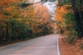 Empty road street in colorful autumn forest park Royalty Free Stock Photo