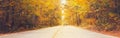 Empty road street in colorful autumn forest park with yellow orange red leaves on trees. Beautiful fall season outdoors. Royalty Free Stock Photo