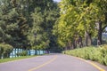 Empty road, street lamps, wooden fence and green trees. Ukraine