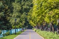 Empty road, street lamps, wooden fence and green trees , Ukraine