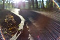 Empty road in sun light on sunset Royalty Free Stock Photo