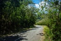 An empty road in a sunny day with no one left. Just tree, bush and clouds