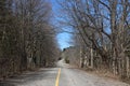 Empty road on sunny winter day Royalty Free Stock Photo