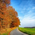 An empty road surrounded by autumn trees with a blue sky and copy space. Landscape with a single countryside asphalt Royalty Free Stock Photo