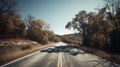 Empty Road Surrounded By Trees Royalty Free Stock Photo