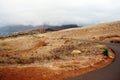 Empty road, terra ground, cloudy sky and windmills. Madeira scenery. Eco and renewable energy sources trend Royalty Free Stock Photo