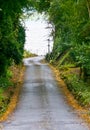 Empty road to Muckross Estate, Ireland