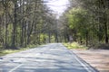 Empty road with trees Driving from Olfen to Dorsten road tripp backgrounds wallpapers in high quality fine art prints