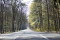 Empty road with trees Driving from Olfen to Dorsten road tripp backgrounds wallpapers in high quality fine art prints. Driving