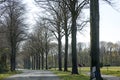 Empty road with trees Driving from Olfen to Dorsten road tripp backgrounds wallpapers in high quality fine art prints