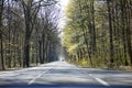 Empty road with trees Driving from Olfen to Dorsten road tripp backgrounds wallpapers in high quality fine art prints. Driving