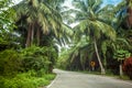 Empty road among the tropical jungle on the Koh Phangan island, Thailand Royalty Free Stock Photo