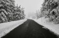 Empty road in winter landscape