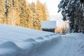 Snow-covered trees and bending empty, forest road in winter. Small shed, trees at sunny day