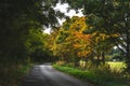 Empty roadway among autumnal trees