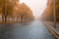 Empty roadway on a foggy autumn morning.
