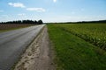 An empty roadway outside the city passes by agricultural fields. A highway with a new asphalt surface on the background of fluffy