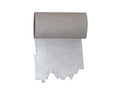 Empty roll toilet paper last sheet isolated on white Royalty Free Stock Photo