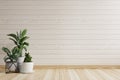 Empty room with beautiful patterned white wooden walls. There are trees on the side of the ground.3d rendering