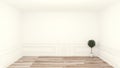 Empty room, clean room,wood floor white wall background. 3D rendering Royalty Free Stock Photo