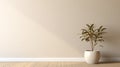 empty room interior background beige wall pot Royalty Free Stock Photo