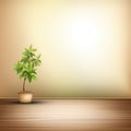 Empty room interior background beige wall pot with plant Royalty Free Stock Photo