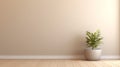 empty room interior background beige wall pot with wooden floor Royalty Free Stock Photo