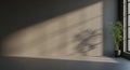 Empty room with large window and dramatic sunlight casting plant shadows interior Royalty Free Stock Photo