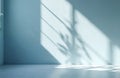 Empty room with light blue walls and floor features window light shadow patterns. Soft shadows from leaves cast on textured wall Royalty Free Stock Photo