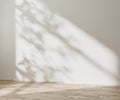 Empty room mock up with wooden floor and empty white wall with sunlight and leaves shadow, 3d rendering