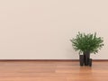 Empty room with parquet floor and wall with plant and pots, 3d Rendering