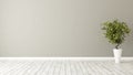 Empty room with plant and brown wall Royalty Free Stock Photo