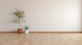 Empty Room With Potted Plant - Japanese Minimalism 3d Rendering Royalty Free Stock Photo