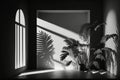Empty room with shadows of window and flowers and palm. Illustration AI Generative Royalty Free Stock Photo