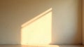 Empty room with sunlight and shadow on the wall.3d rendering Royalty Free Stock Photo
