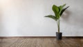 Empty room with White blank concrete wall mockup with a wooden floor backdrop Royalty Free Stock Photo