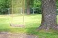 Empty rope swing on tree with wooden board lighted by sun light Royalty Free Stock Photo