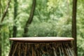 Empty round wooden table with forest background Royalty Free Stock Photo
