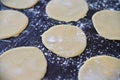 An empty rounds dough with flour powder