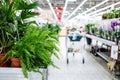 Empty Row Of Supermarket With Home Plants And Flowers Royalty Free Stock Photo