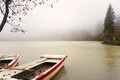 Empty Rowboats on a Misty Lakeside Framed by Branches Royalty Free Stock Photo
