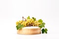 Empty rround wooden podium with natural green grape vine with leaves on white background