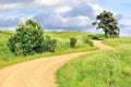 Empty rural landscape beautiful road background