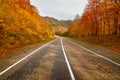 Empty rural road in Arkhyz Royalty Free Stock Photo