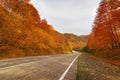 Empty rural road in Arkhyz