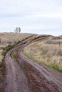 An empty rural road through a field of withered autumn grass. Royalty Free Stock Photo