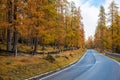 Empty Rural road in the Italian alpine mountains  during autumn Royalty Free Stock Photo